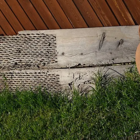 ホテル Sulubahce *